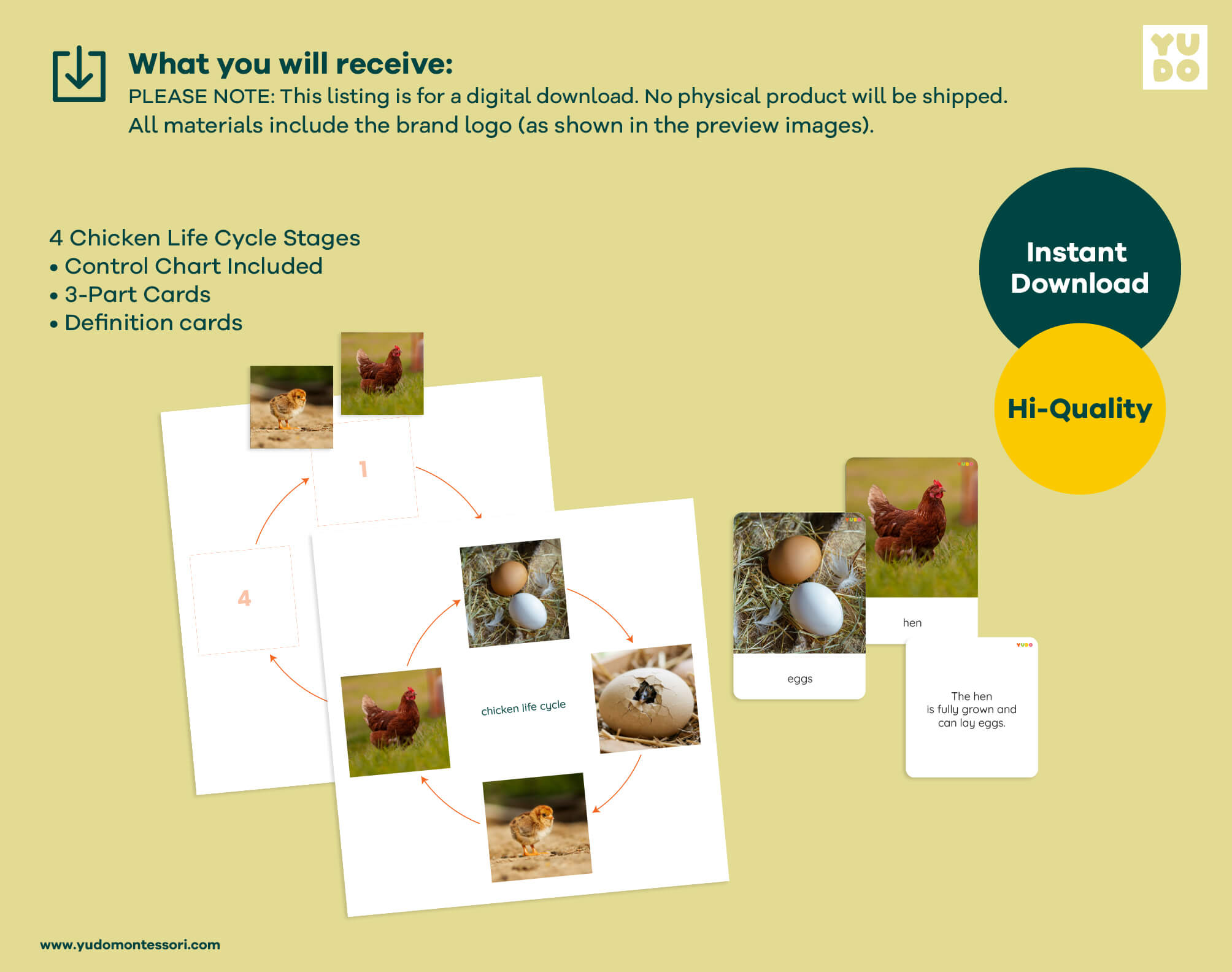 Printable Montessori chicken life cycle activity with sequencing wheel, 3-part cards and definition booklet