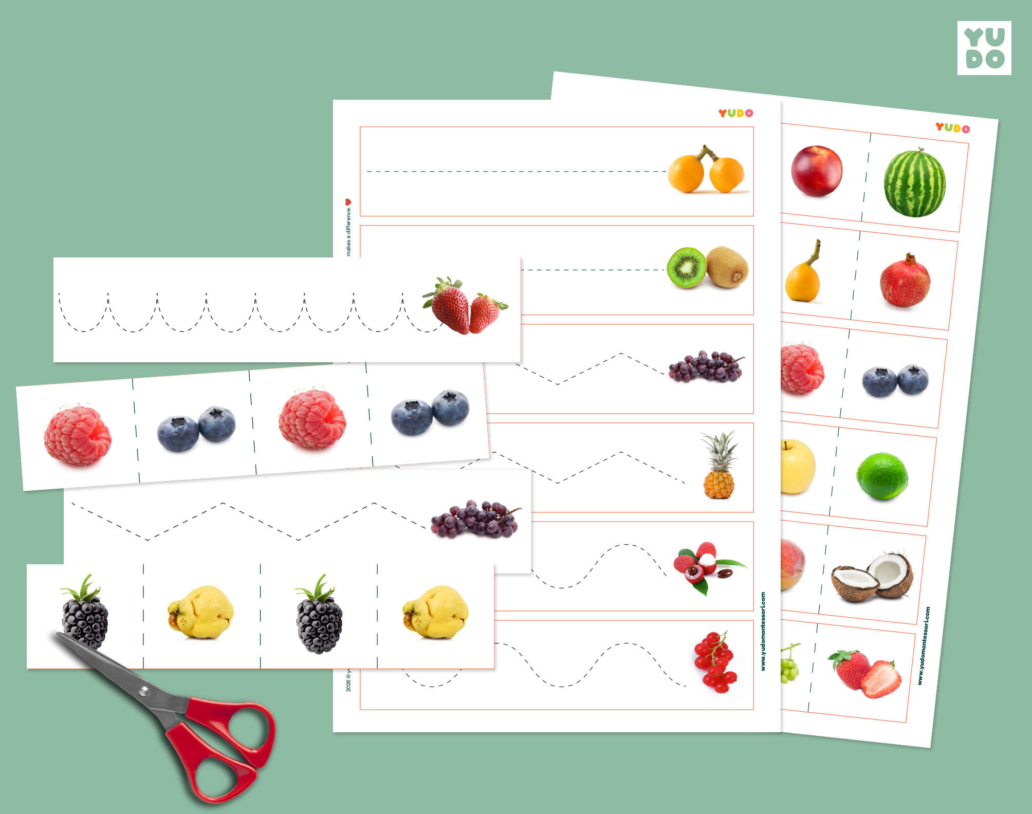 Montessori fruit cutting strips printable for preschool scissor skills