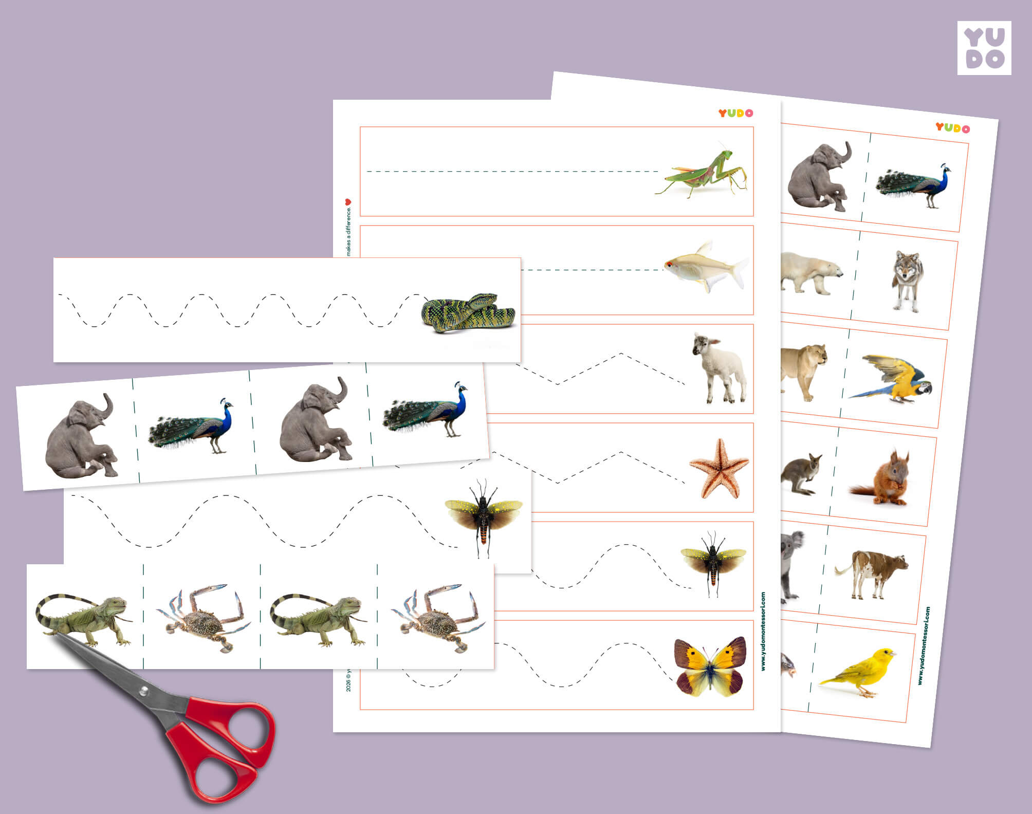 Montessori animal cutting strips printable for preschool scissor skills