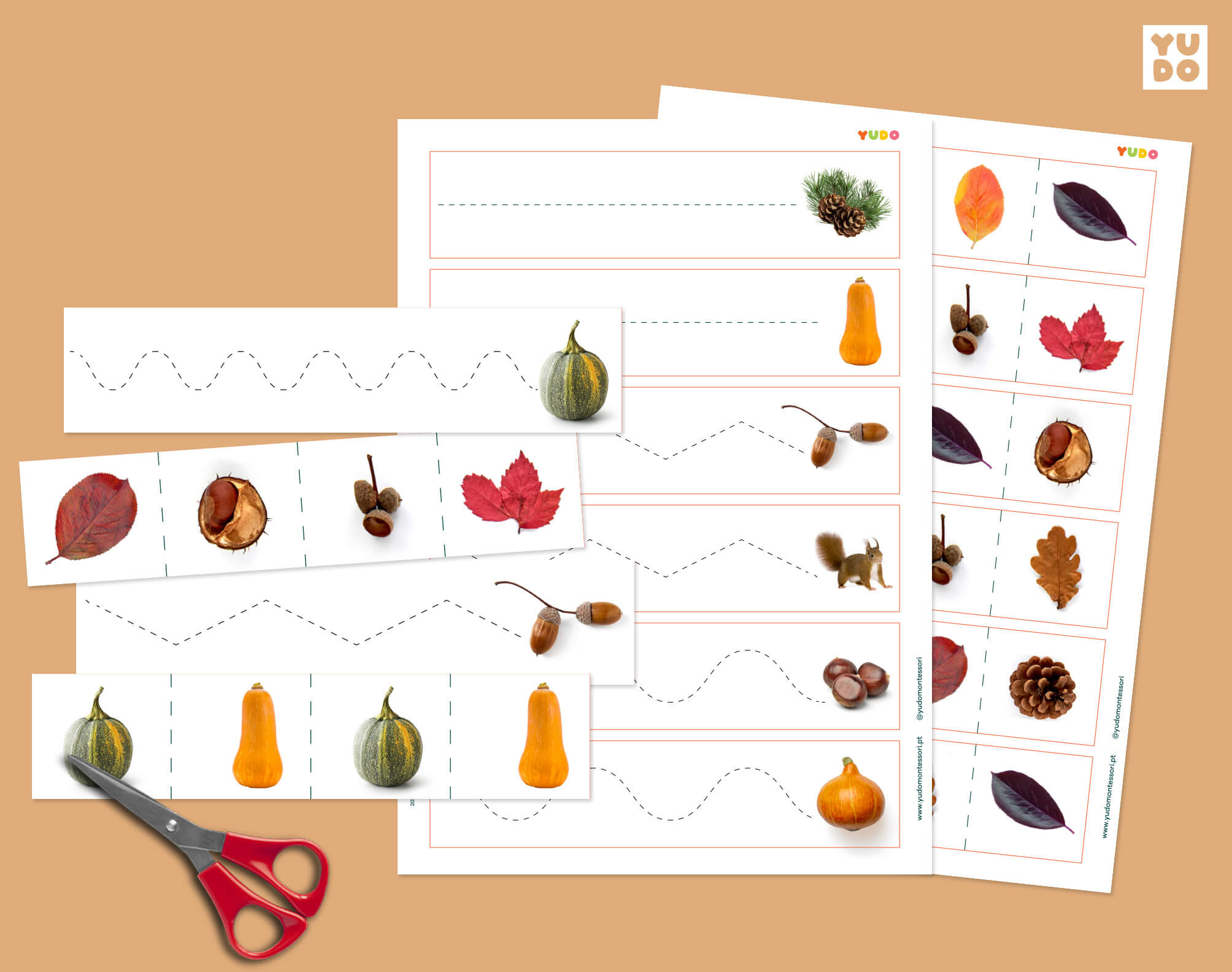 Montessori autumn cutting strips printable for preschool scissor skills
