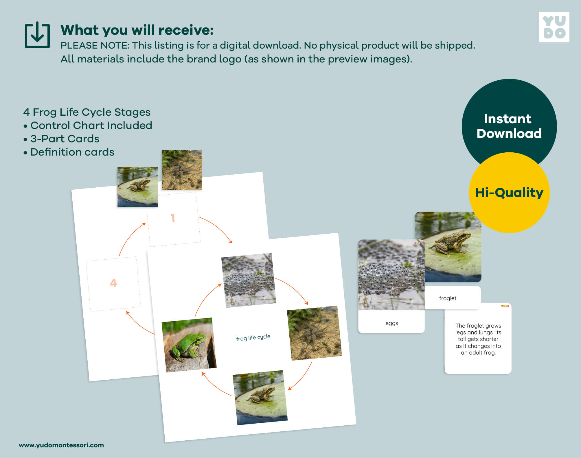Printable Montessori frog life cycle activity with sequencing wheel, 3-part cards and definition booklet