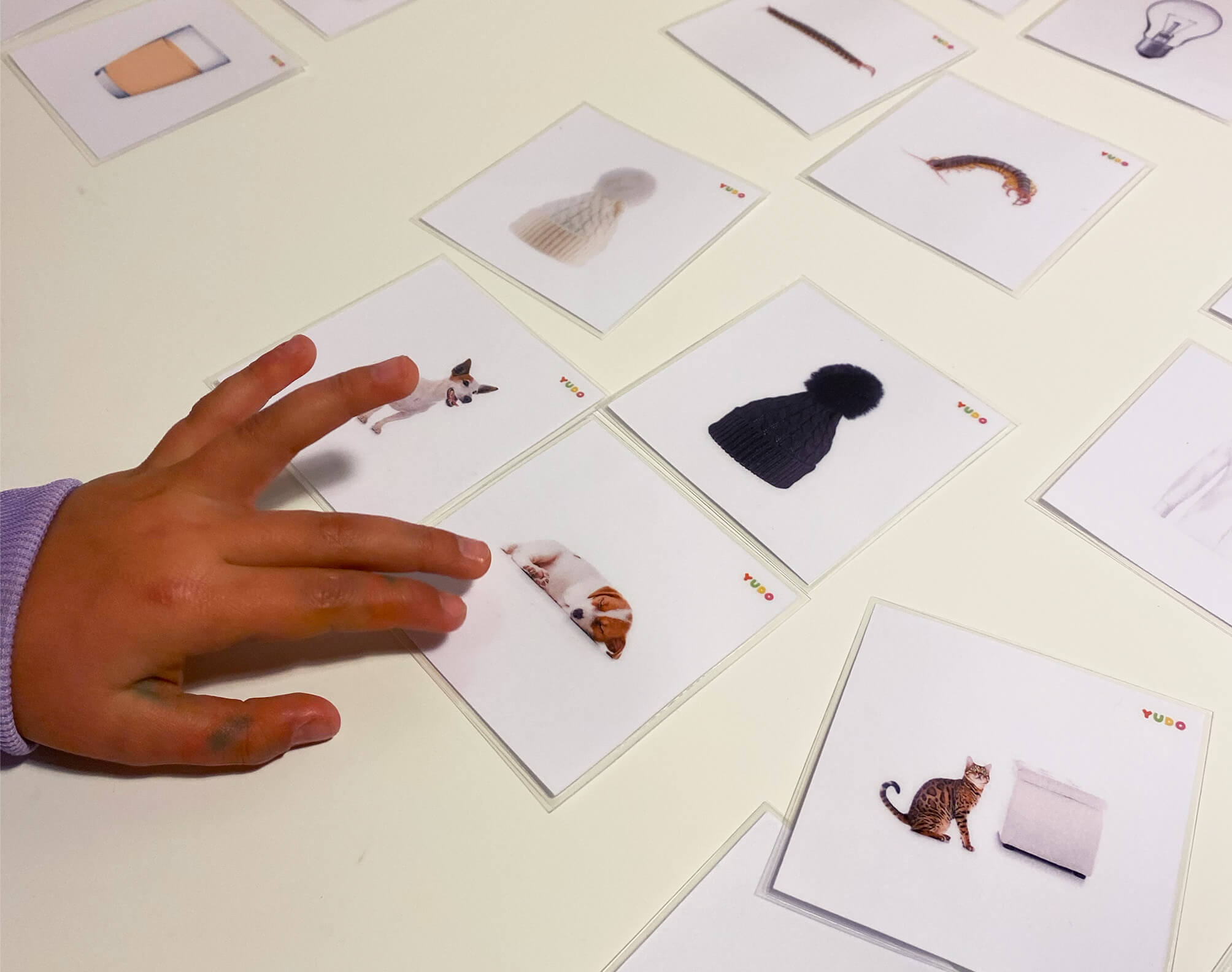 Hands-on Montessori language development activity using printable matching cards
