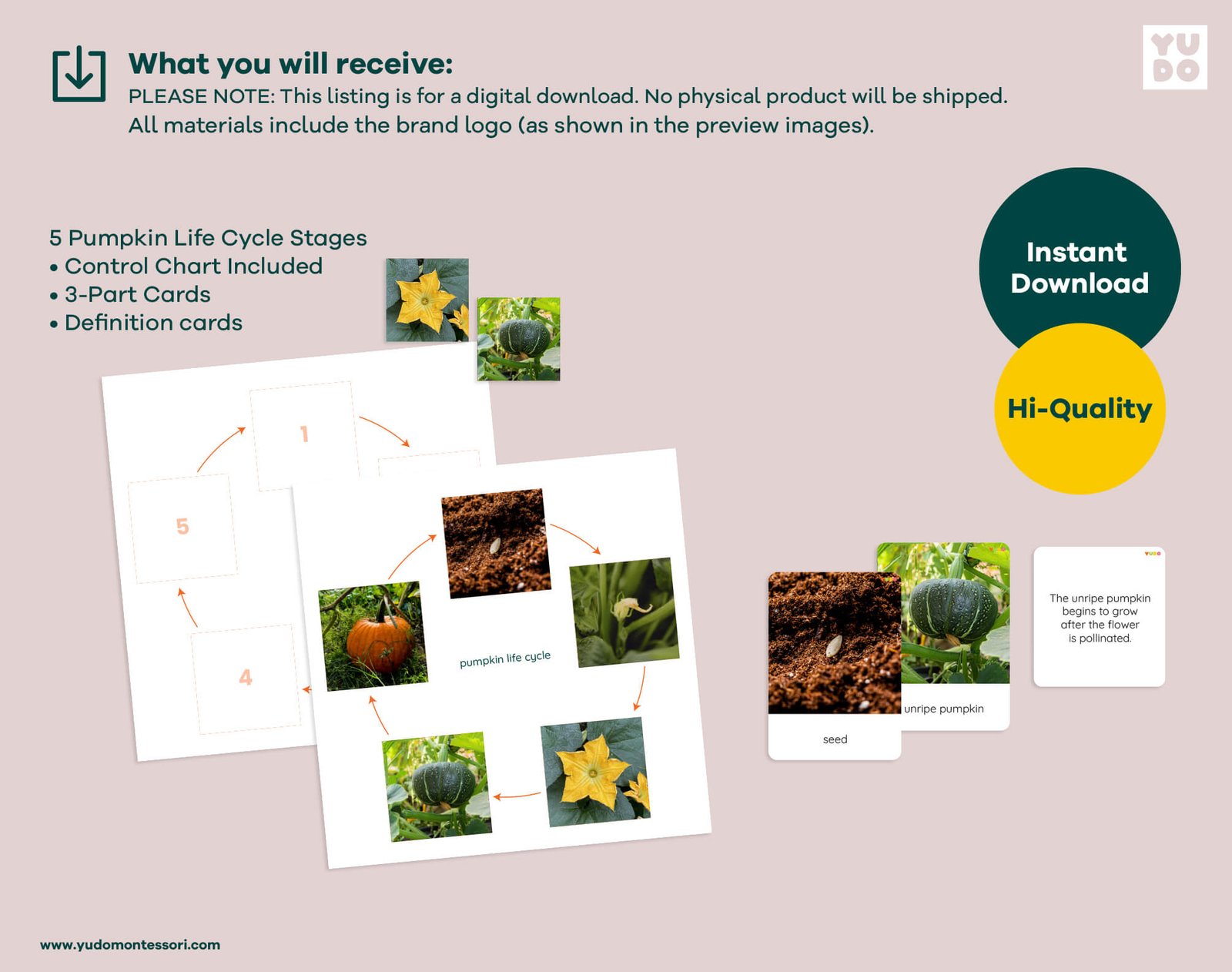 Printable Montessori pumpkin life cycle activity with sequencing wheel, 3-part cards and definition booklet