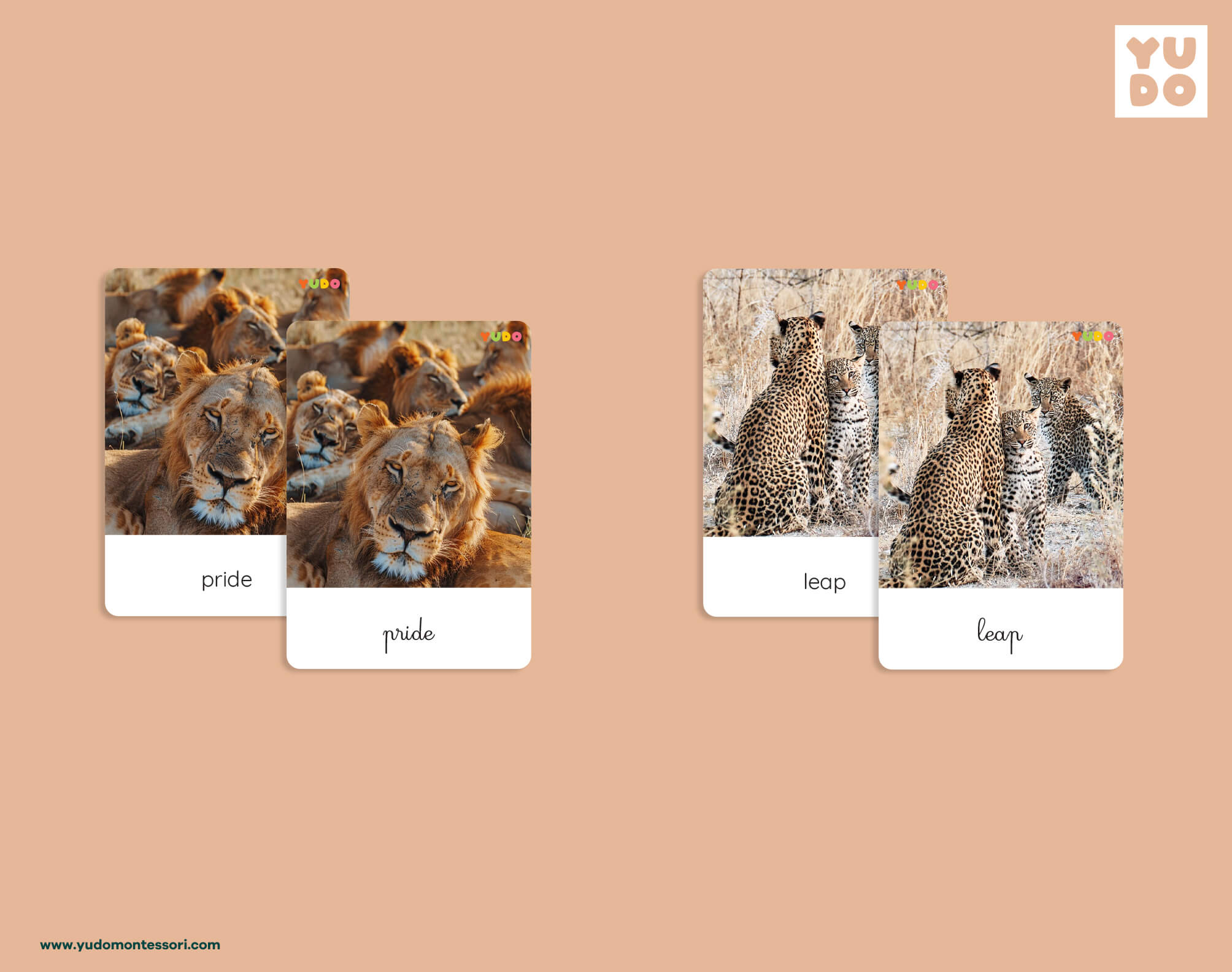 Printable animal groups sentence building cards featuring collective animal nouns for Montessori language activities.