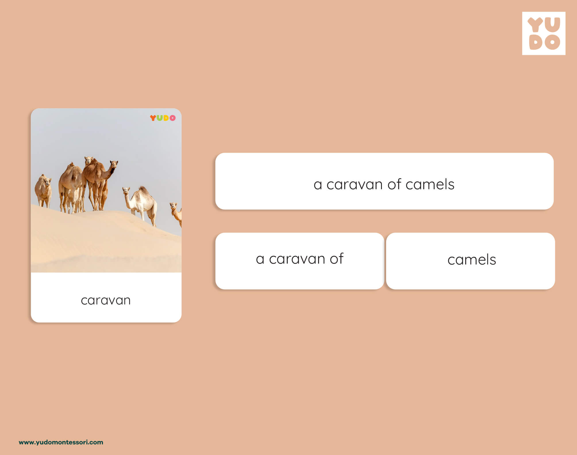 Montessori animal groups activity with matching labels and animal collective nouns