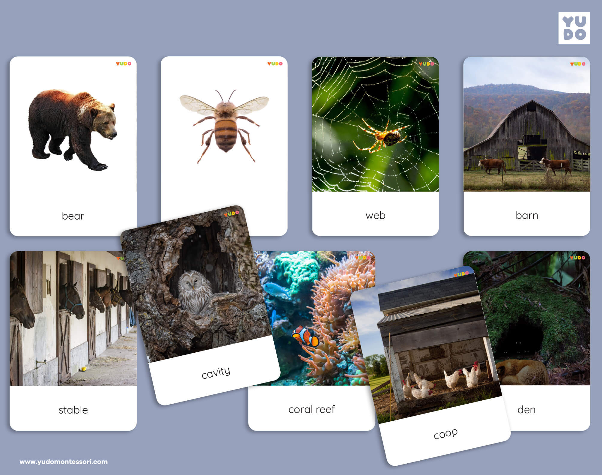 Montessori animal homes matching cards printable with real animal and habitat photos