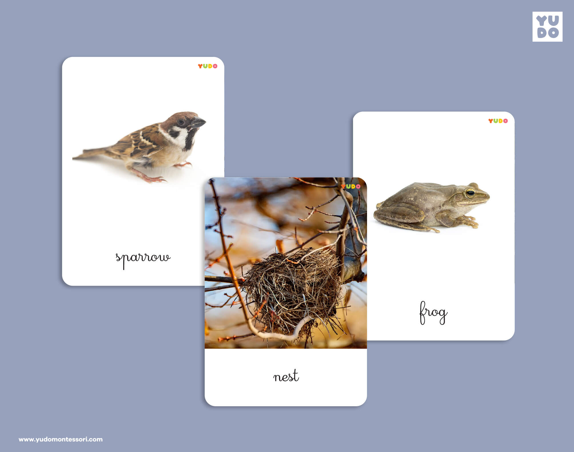 Montessori animal homes activity matching birds, frogs and nests