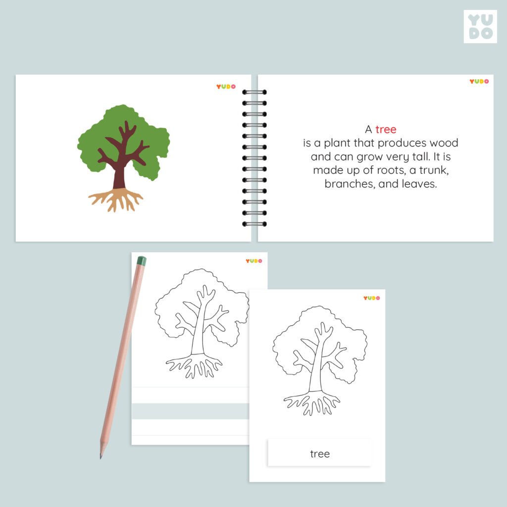 Montessori Parts of the Tree activity with a tree definition booklet, 3-part cards, tracing worksheet, and handwriting practice card using realistic illustrations.