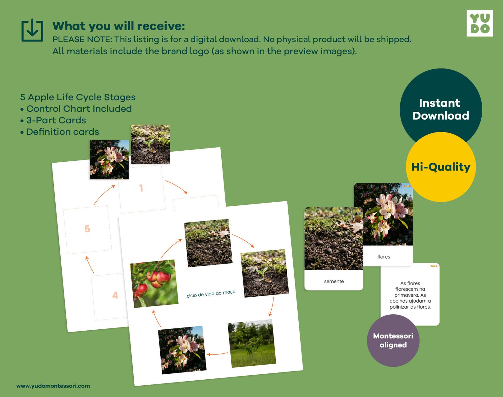 Printable Montessori apple life cycle activity with sequencing wheel, 3-part cards and definition booklet