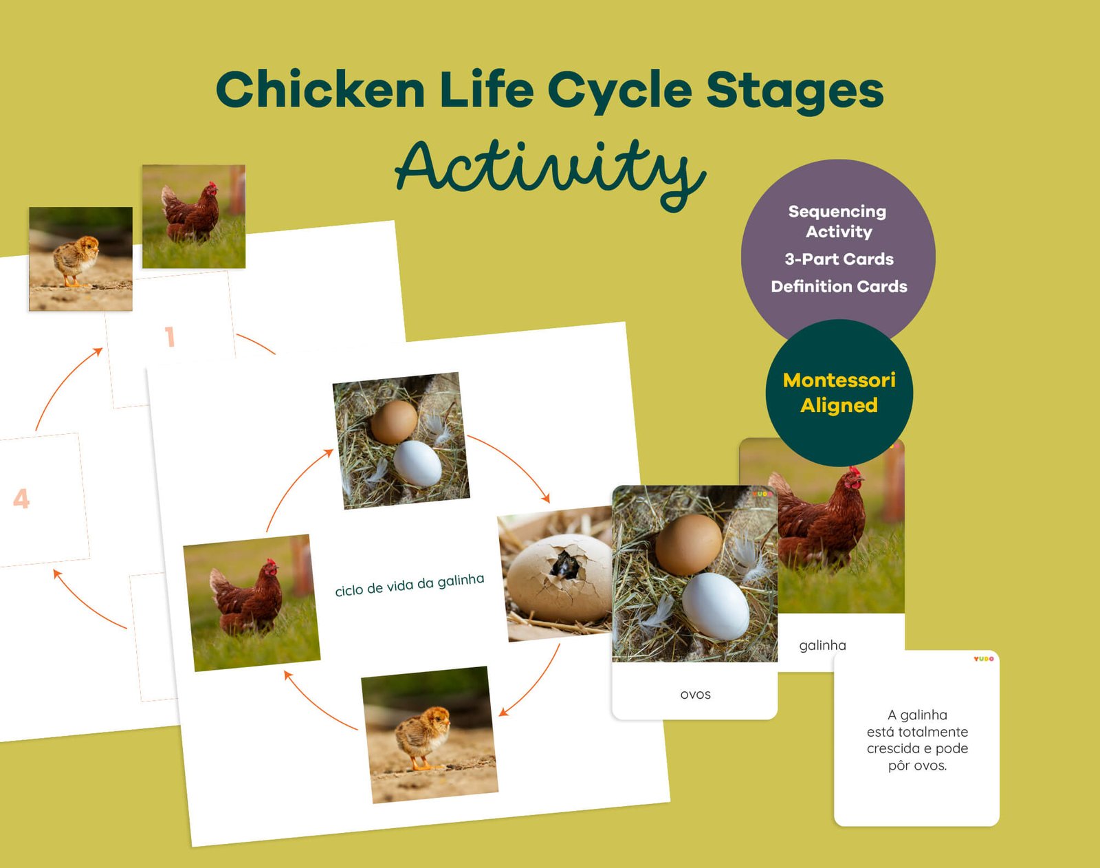 Montessori chicken life cycle printable with sequencing activity, 3-part cards and definition booklet