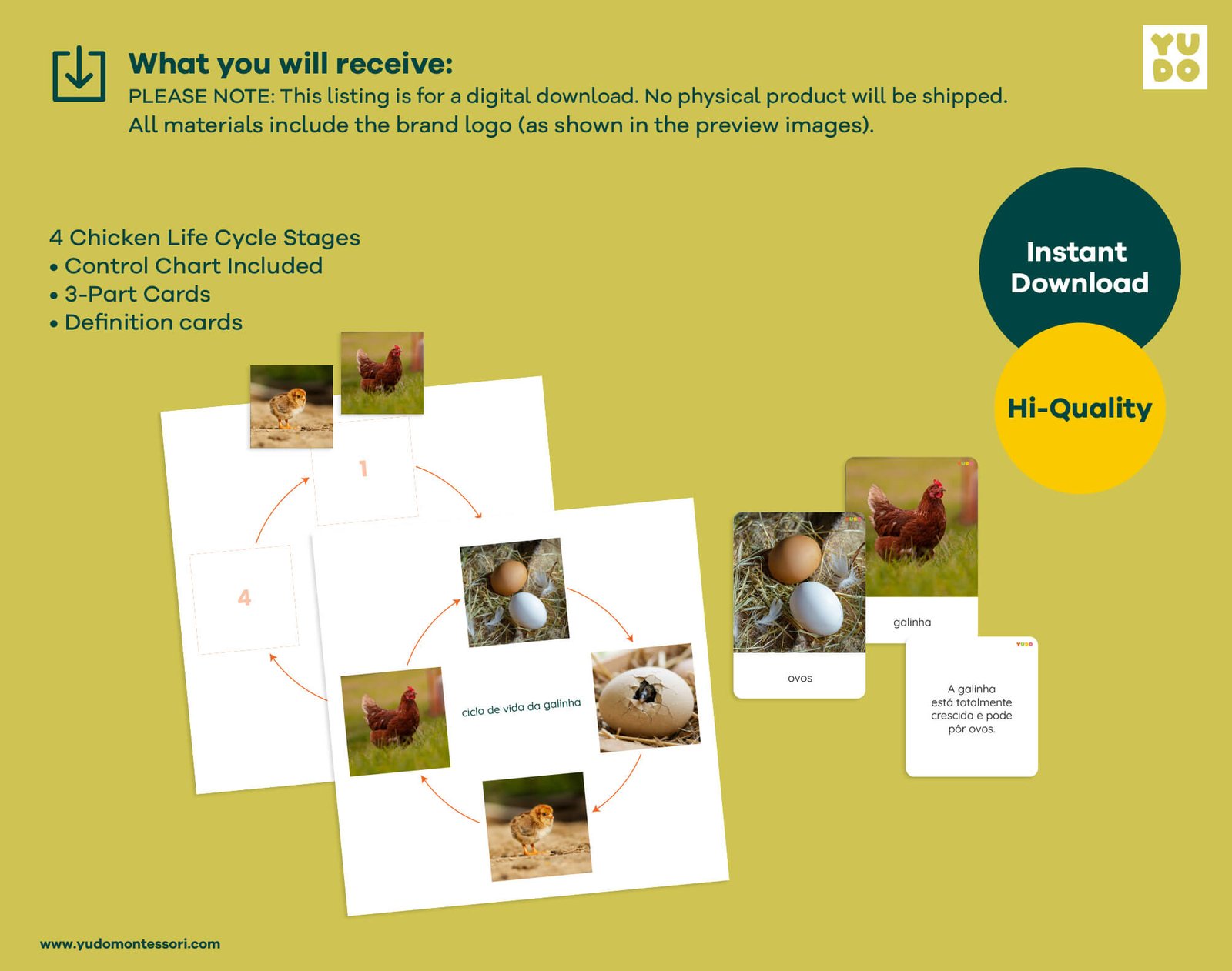 Printable Montessori chicken life cycle activity with sequencing wheel, 3-part cards and definition booklet