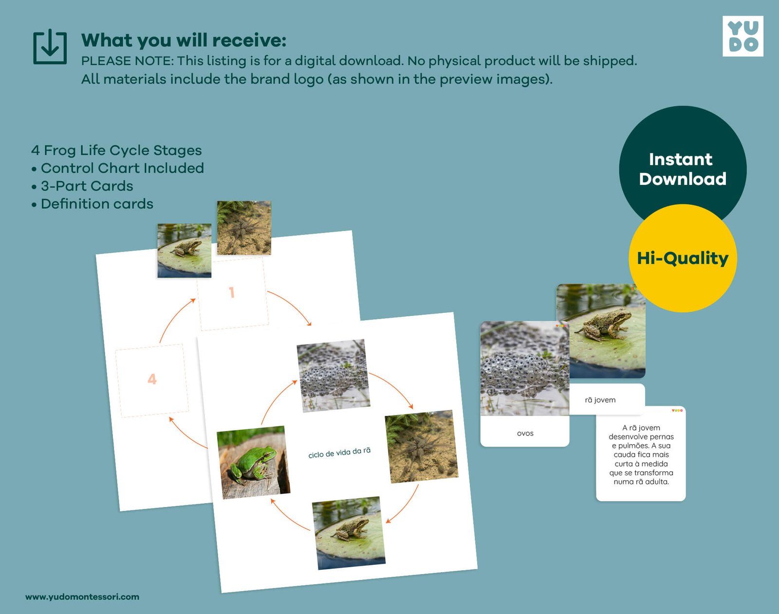 Printable Montessori frog life cycle activity with sequencing wheel, 3-part cards and definition booklet