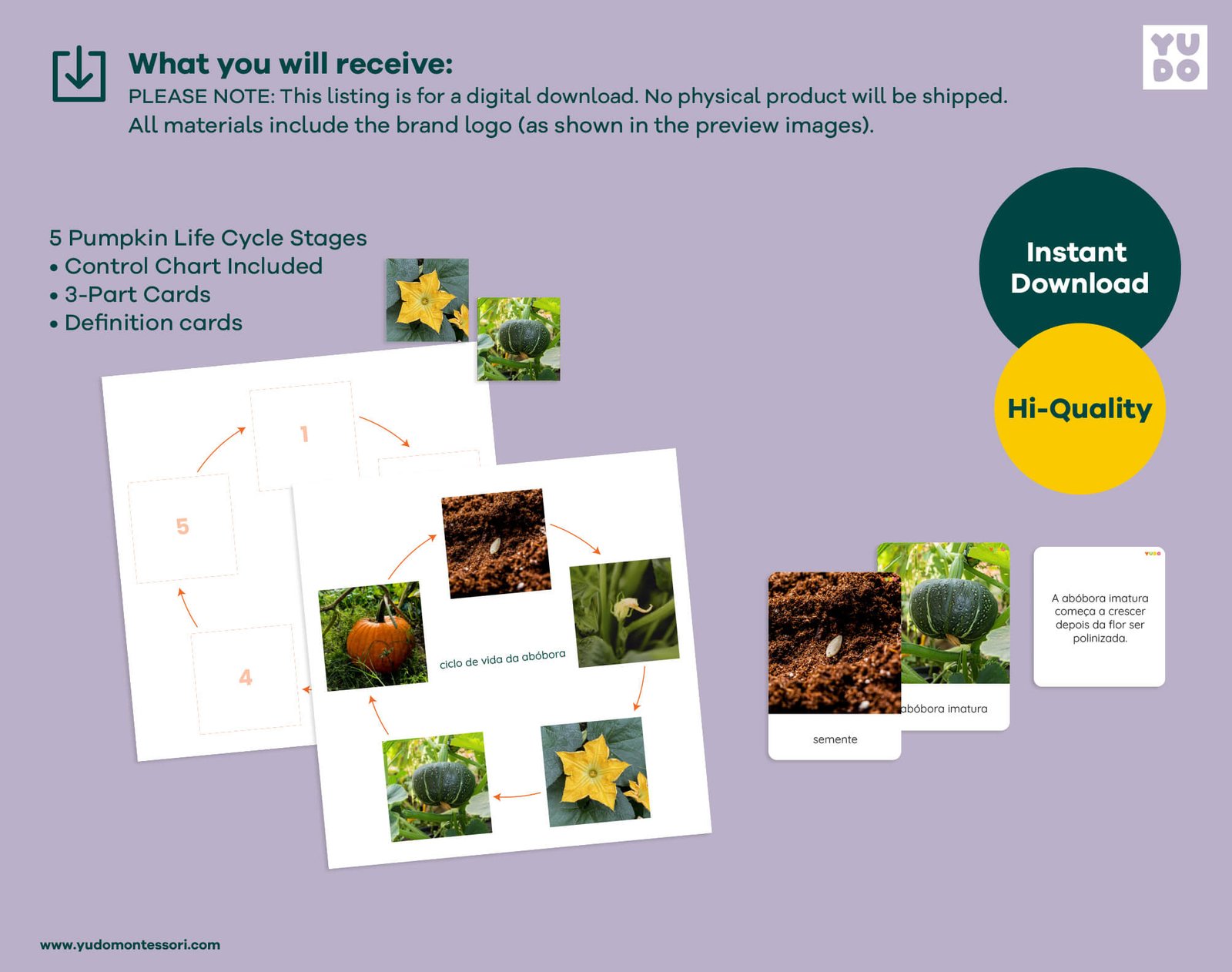 Printable Montessori pumpkin life cycle activity with sequencing wheel, 3-part cards and definition booklet